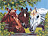 Канва с рисунком "Три лошади" 1 шт. (100) 24см х 30см