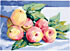 Канва с рисунком "Ветка с яблоками" 1 шт. (103) 24см х 30см