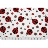 Плюш для игрушек фасовка 1 шт. (Shannon Fabrics LADY BUG) 48см х 48см полиэстер-100%