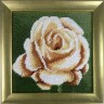 Набор для вышивки "Кремовая роза" 1 шт. ("Rico Design" 22281.54.80) 21см х 21см
