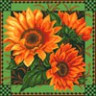 Канва с рисунком "Подушка с подсолнухами " 1 шт. (891) 41см х 41см