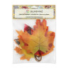 Декоративные элементы Листья ассорти (клён) блистер 6 шт. (Blumentag ALT-03) 9см х 10см