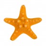 Набор декоративных морских звезд блистер 3 шт. ("Zlatka" MZF-001/3)