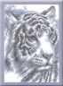 Набор для вышивки "Белый тигр" 1 шт. ("РС студия" С-462Н) 16см х 22см
