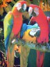 Канва с рисунком "Три попугая" 1 шт. (80376) 33см х 46см
