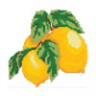 Канва с рисунком "Лимоны" малая 1 шт. (№060) 20см х 20см