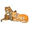 Канва с рисунком "Два тигрёнка" малая 1 шт. (№081) 20см х 20см