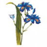 Канва с рисунком "Голубые цветы" малая 1 шт. (№156) 20см х 20см