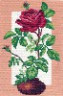Канва с рисунком "Домашняя роза" 1 шт. (468) 24см х 35см