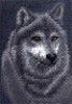 Канва с рисунком "Волк" 1 шт. (495) 24см х 35см