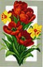Канва с рисунком "Тюльпаны и нарциссы" 1 шт. (505) 24см х 35см