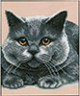 Канва с рисунком "Серый кот" 1 шт. (376) 24см х 30см