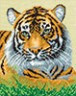 Канва с рисунком "Тигр" 1 шт. (434) 24см х 30см
