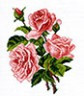 Канва с рисунком "Розы" 1 шт. (560) 24см х 30см