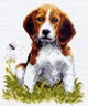 Канва с рисунком "Рыжий щенок" 1 шт. (589) 24см х 30см