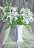 Канва с рисунком "Белые лилии" 1 шт. (900) 33см х 45см