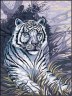 Канва с рисунком "Тигр" серия 10.000 1 шт. (Collection D'Art 10379) 40см х 50см