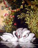 Канва с рисунком "Лебединое озеро" серия 11.000 1 шт. (Collection D'Art 11582) 50см х 60см