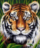 Канва с рисунком "Тигр" серия 6.000 1 шт. (Collection D'Art 6253) 30см х 40см