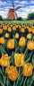 Канва с рисунком "Желтые тюльпаны" серия 8.000 1 шт. (Collection D'Art 8048) 30см х 60см