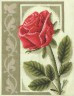 Набор для вышивки "Пурпурная роза" 1 шт. ("Panna" Ц-1266) 28см х 34см