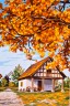 Канва с рисунком "Осень за городом" серия 6.000 1 шт. (Collection D'Art 6169) 30см х 40см