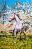 Канва с рисунком "Лошадь в саду" серия 6.000 1 шт. (Collection D'Art 6172) 30см х 40см