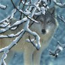 Канва с рисунком Волк в лесу 1 шт. ("М.П.Студия" Г-026) 35см х 40см