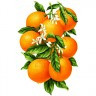 Набор для изготовления картины из страз Гроздь апельсинов 1 шт. ("Алмазная живопись" АЖ-1091) 31см х 48см
