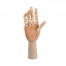 Модель руки с подвижными пальцами 1 шт. ("VISTA-ARTISTA" VMA-30) 30см дерево