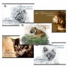 Альбом для рисования Грациозные кошки 24 листа 1 шт. ("KANZY" KNY) 21см х 29см