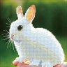 Кристальная мозаика "Фрея" Белый кролик коробка 1 шт. (ООО "ПАННА" ALV-6) 22см х 22см