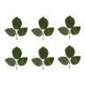 Декоративные элементы Листья зеленый (роза) блистер 6 шт. (Blumentag ALT-07)