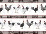 Ткань BLACK TIE фасовка 1 шт. (Red Rooster Fabrics 4406) 50см х 55см хлопок-100%