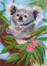 Набор Добродушная коала "Woolla" 1 шт. (ООО ПАННА WA-0136) 30см х 21см