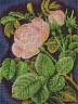 Набор для вышивки "Кремовая роза" 1 шт. ("Panna" ВХ-0598) 21.5см х 28.5см