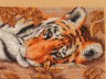 Набор для вышивки "Хитрый тигр " 1 шт. ("Dimensions" 65056) 18см х 13см
