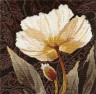 Набор для вышивки "Белые цветы: Залитый светом" 1 шт. ("Алиса" 2-17) 25см х 25см