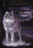Набор для вышивки "Белый волк" 1 шт. ("Panna" Ж-0462) 24.5см х 36см
