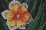 Набор для вышивки "Экзотический цветок" 1 шт. ("Panna" Ц-0409) 15см х 10см