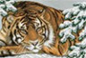 Канва с рисунком "Тигр на снегу" 1 шт. (356) 33см х 45см