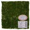 Лист из натурального мха блистер 1 шт. ("Blumentag" BKM-40) 40см х 40см натуральных мох