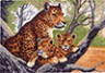 Канва с рисунком "Гепард с малышами" 1 шт. (615) 33см х 45см