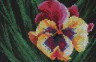 Набор для вышивки "Яркий цветок" 1 шт. ("Panna" Ц-0410) 15см х 10см