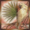 Набор для вышивки "Белый попугай" 1 шт. ("Panna" ПТ-0693) 25см х 25см