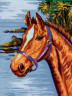 Канва с рисунком "Конь" серия 10.000 1 шт. (Collection D'Art 10322) 40см х 50см