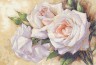 Набор для вышивки "Белые розы" 1 шт. ("Dimensions" 35247) 41см х 28см