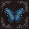 Набор для вышивки "Голубая бабочка" 1 шт. ("Кларт" 8-112) 19,5см х 19,5см