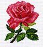 Канва с рисунком "Роза " 1 шт. (512) 20см х 22см