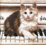 Набор для вышивки "Кошка на пианино" 1 шт. ("РС студия" С-466H) 31.5см х 30см